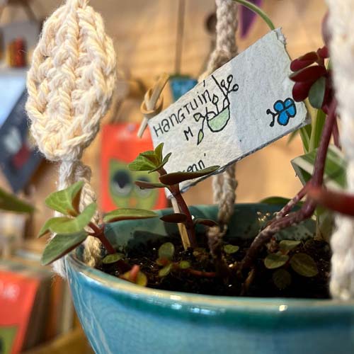 Hantuintje in keramieken hangpot in Big Beessie's winkeltje in Winkel vol Winkeltjes