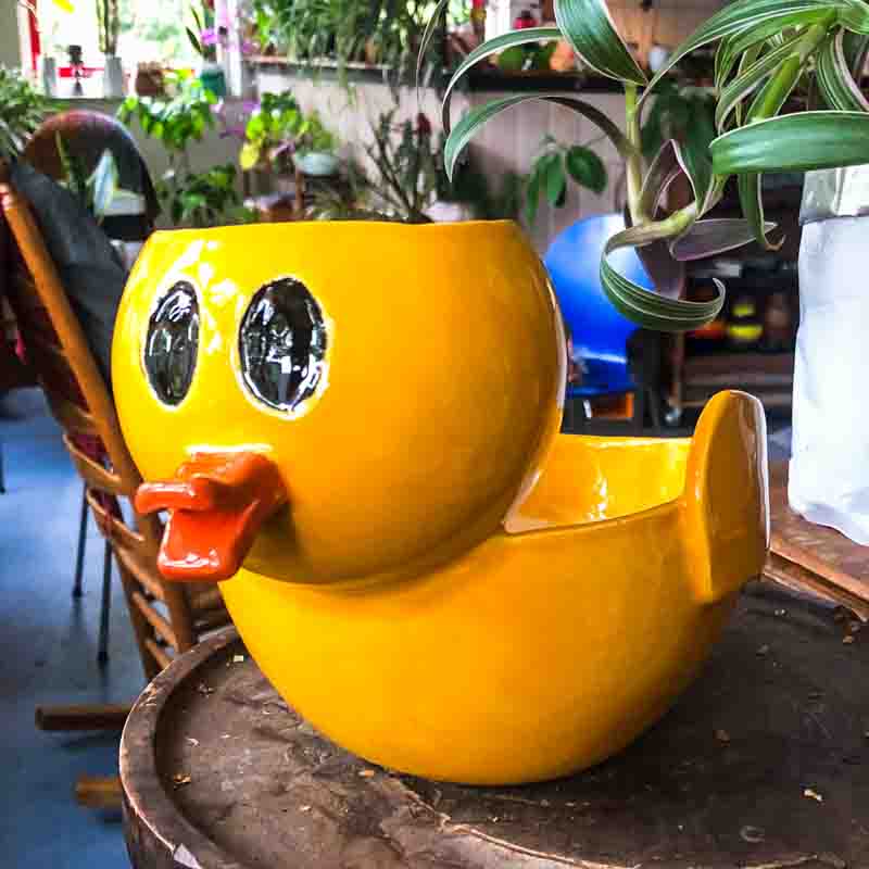 Keramieken badeendje voor plantjes