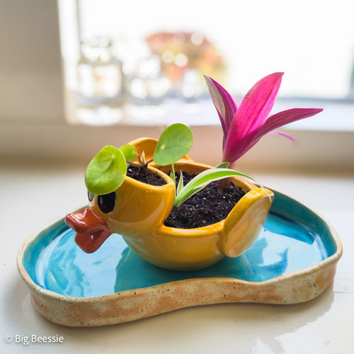 Badeendje met plantjes van keramiek op schotel in de vorm en kleur van een vijver
