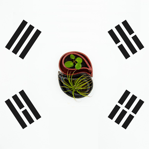 Koreaanse vlag met mini-plantenpotjes in het midden