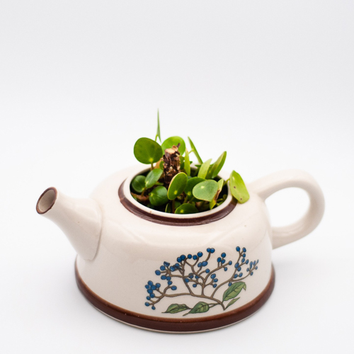 Plantje planten in hangpotje